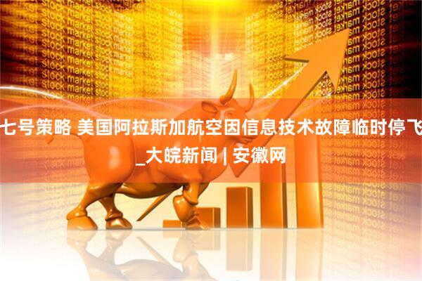 七号策略 美国阿拉斯加航空因信息技术故障临时停飞_大皖新闻 | 安徽网
