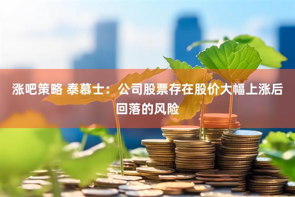 涨吧策略 泰慕士：公司股票存在股价大幅上涨后回落的风险