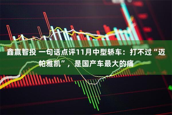 鑫赢智投 一句话点评11月中型轿车：打不过“迈帕雅凯”，是国产车最大的痛